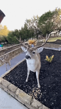 Acid GIFs, May 6 (25 gifs)