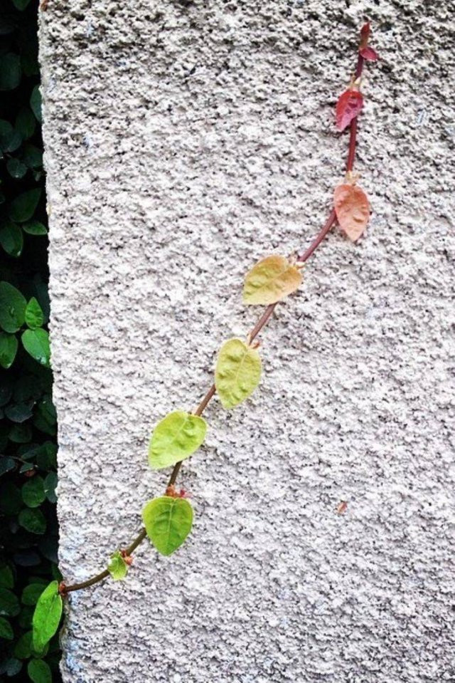 Photos For Perfectionists (20 pics)