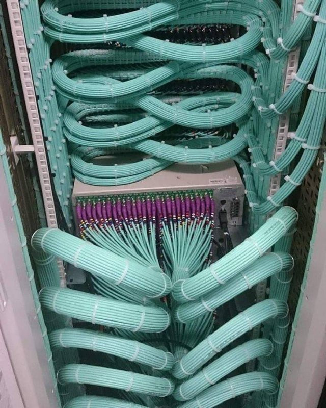 Photos For Perfectionists (20 pics)