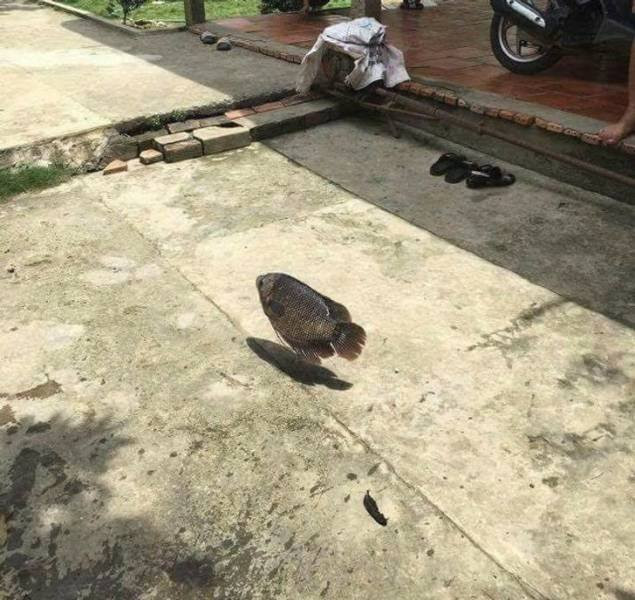 Glitches In The Matrix (14 pics)