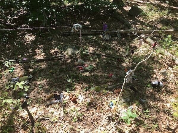 Unexpected Finds In The Forests (14 pics)