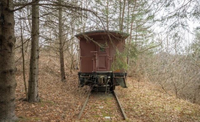 Unexpected Finds In The Forests (14 pics)