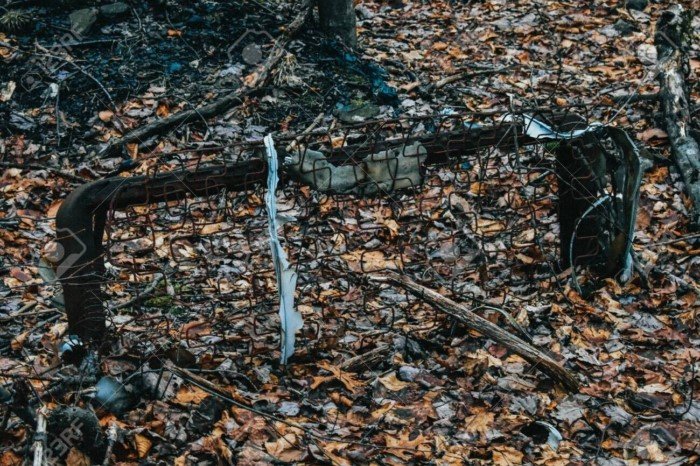 Unexpected Finds In The Forests (14 pics)