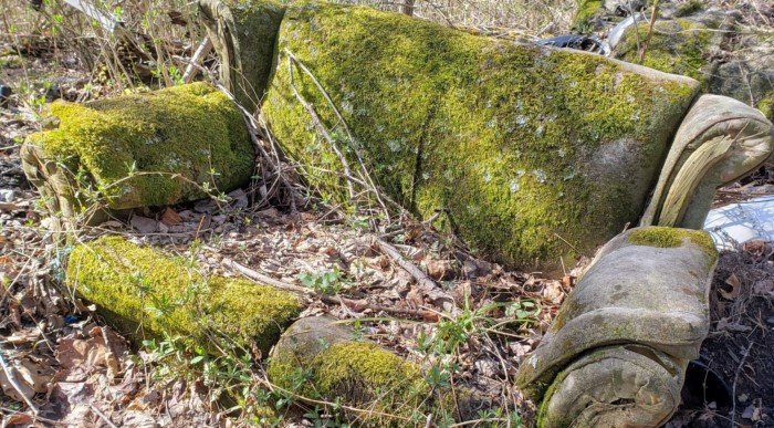 Unexpected Finds In The Forests (14 pics)