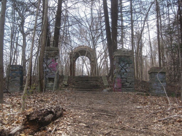 Unexpected Finds In The Forests (14 pics)