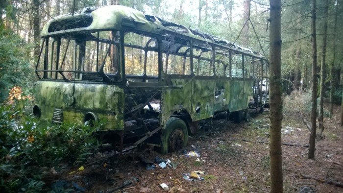 Unexpected Finds In The Forests (14 pics)