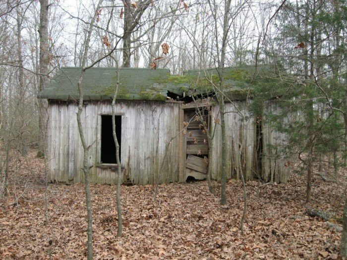 Unexpected Finds In The Forests (14 pics)