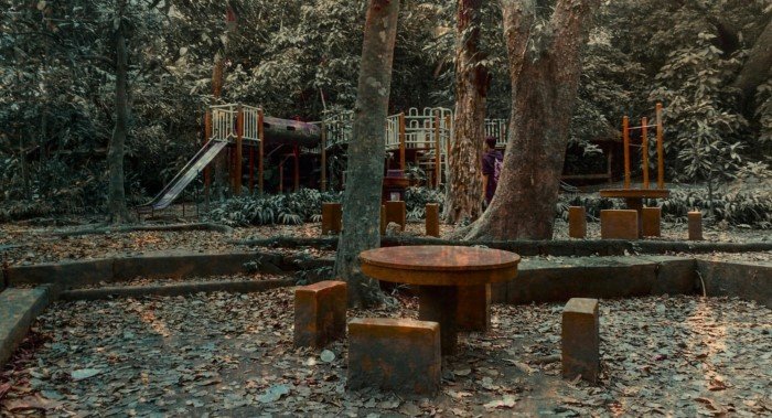 Unexpected Finds In The Forests (14 pics)