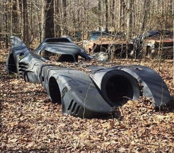 Unexpected Finds In The Forests (14 pics)