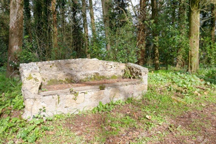 Unexpected Finds In The Forests (14 pics)