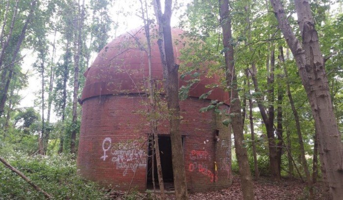 Unexpected Finds In The Forests (14 pics)