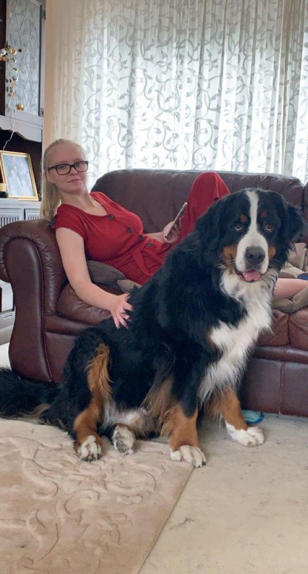 Giant Things (16 pics)