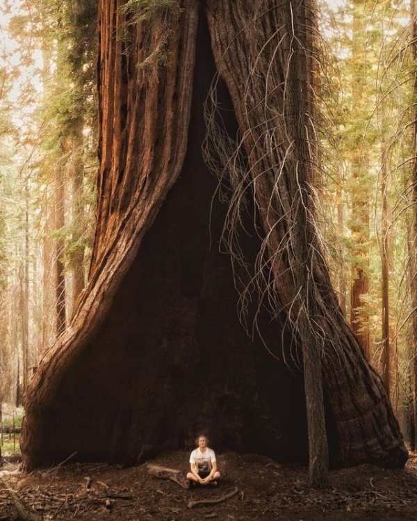 Giant Things (16 pics)