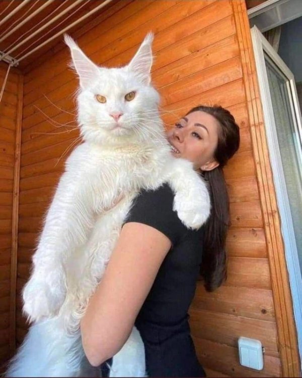 Giant Things (16 pics)