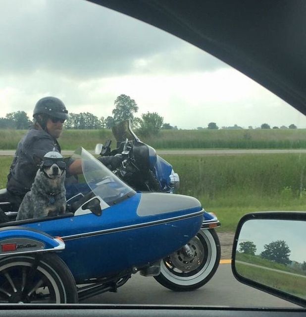 Strange Encounters On The Road (23 pics)