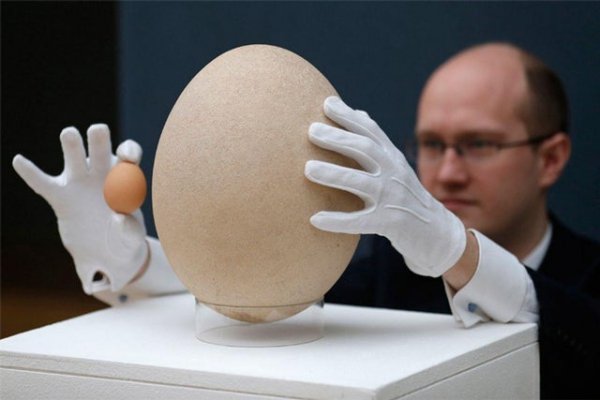 Giant Things (16 pics)