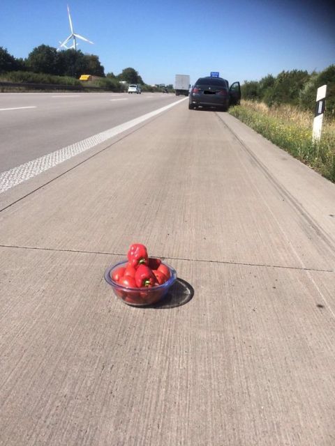 Strange Encounters On The Road (23 pics)