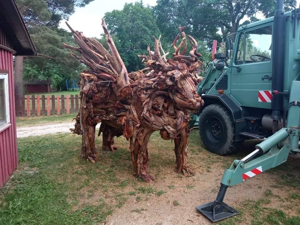 Daily Pictures. Part 1 (78 pics)