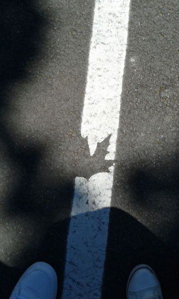 Daily Pictures. Part 1 (78 pics)