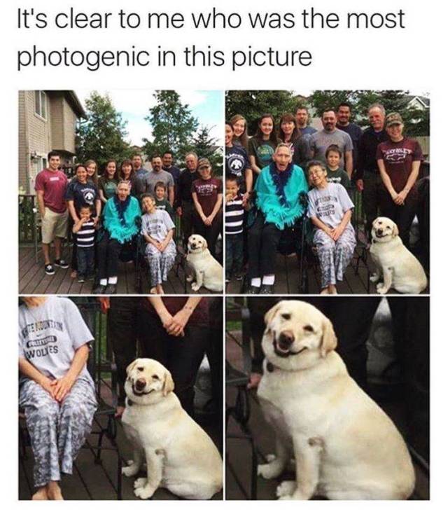 Daily Pictures. Part 2 (77 pics)
