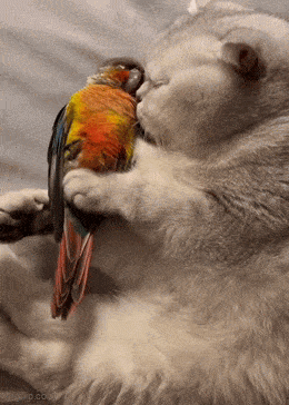 Acid GIFs, May 7 (25 gifs) Acid GIFs, May 7 (25 gifs)
