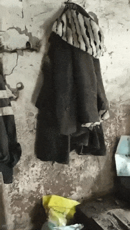 Acid GIFs, May 7 (25 gifs) Acid GIFs, May 7 (25 gifs)