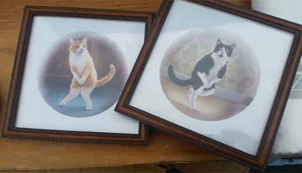 Unusual Finds In Thrift Shops (25 pics)