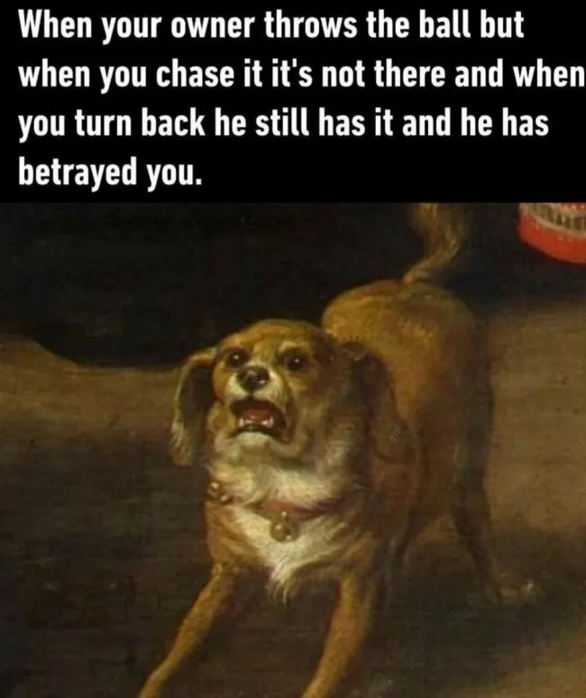 Medieval Memes (25 pics) Medieval Memes (25 pics)