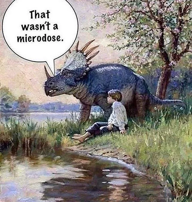 Medieval Memes (25 pics) Medieval Memes (25 pics)