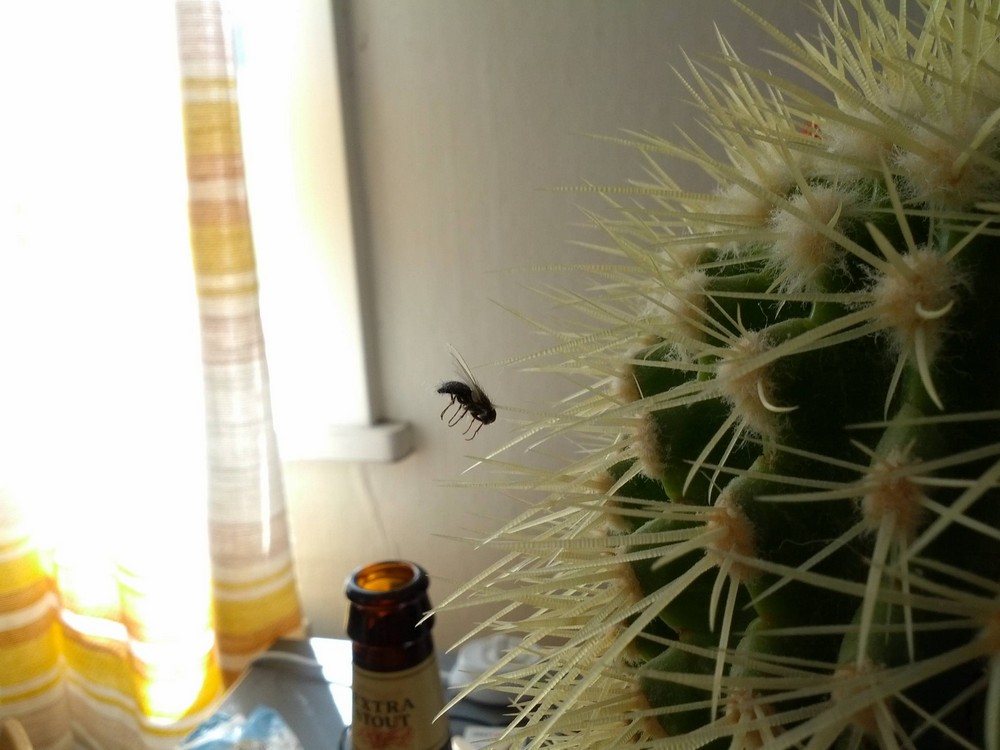 Bad Days Happen (29 pics)