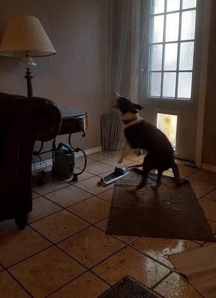 Bad Days Happen (29 pics)