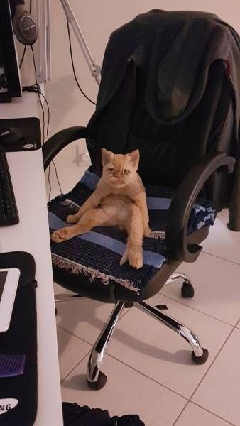 Daily Pictures. Part 2 (75 pics)