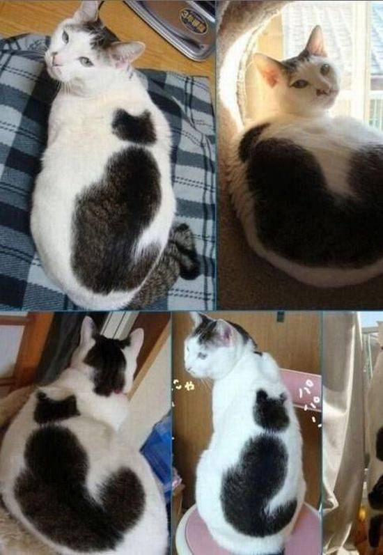 Daily Pictures. Part 2 (75 pics)