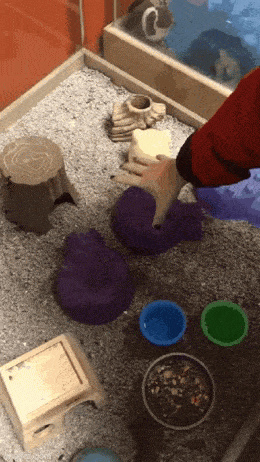 Acid GIFs, May 8 (25 gifs)