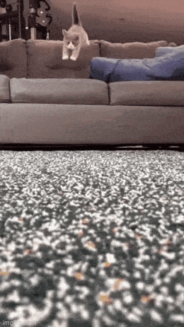 Acid GIFs, May 8 (25 gifs)