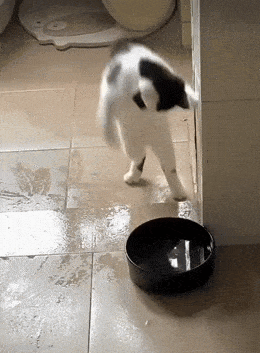 Acid GIFs, May 8 (25 gifs)