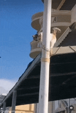 Acid GIFs, May 8 (25 gifs)