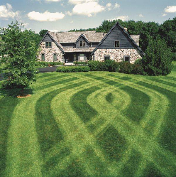 Photos For Perfectionists (25 pics)