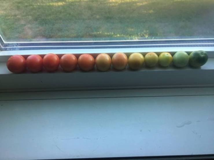 Photos For Perfectionists (25 pics)