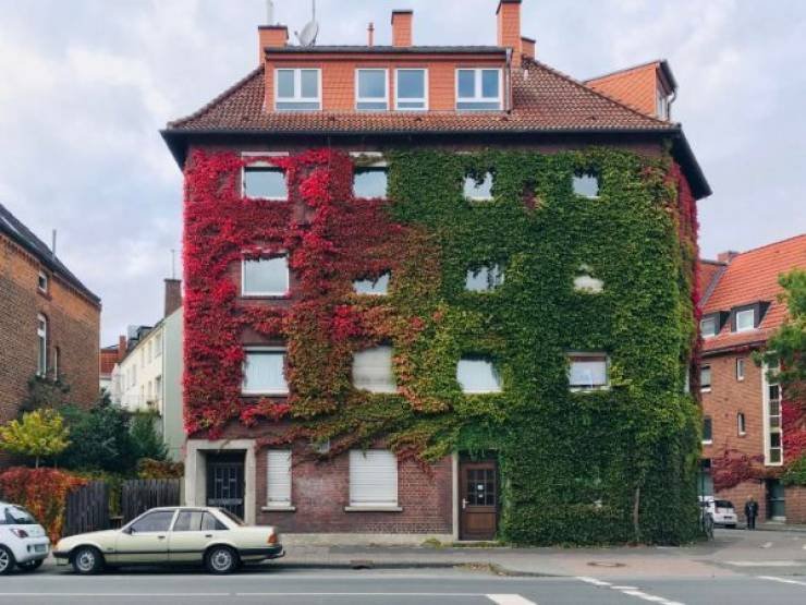 Photos For Perfectionists (25 pics)