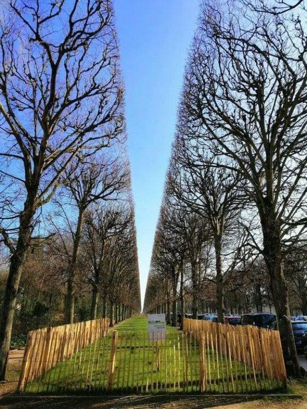 Photos For Perfectionists (25 pics)