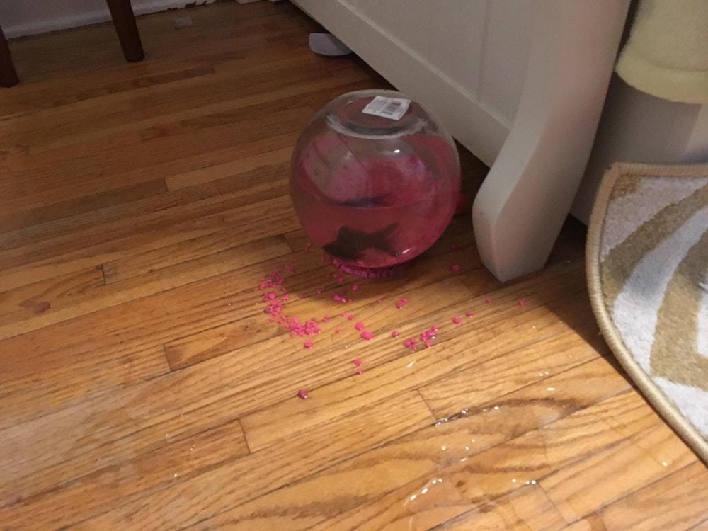 Unfortunate Situations (25 pics)