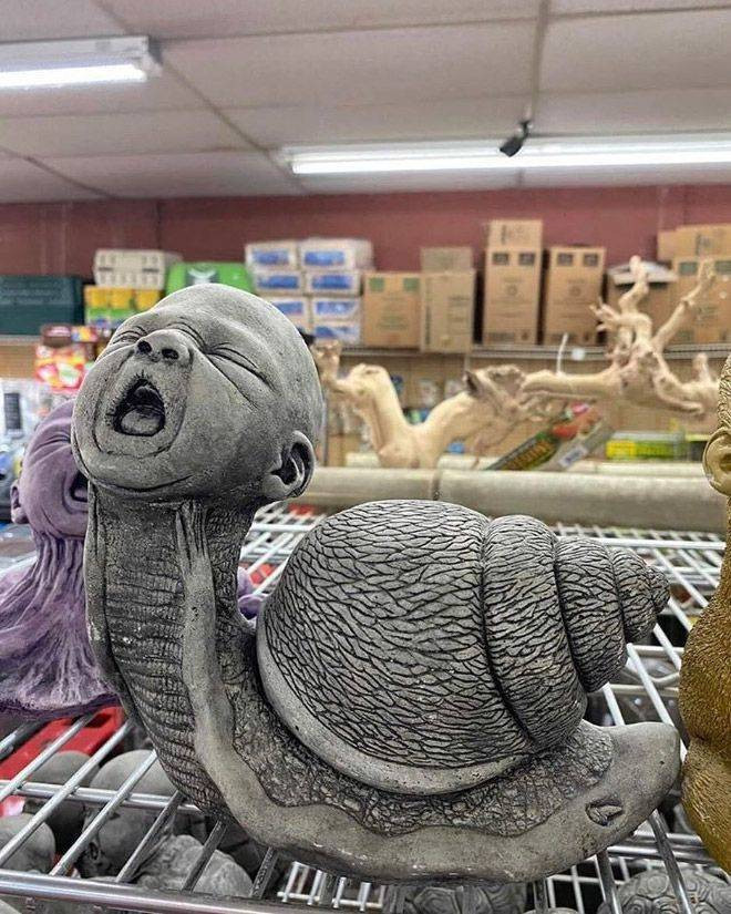 Weird Finds In Thrift Shops (29 pics)
