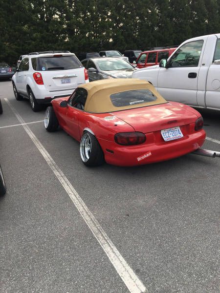 Daily Pictures. Part 1 (76 pics)
