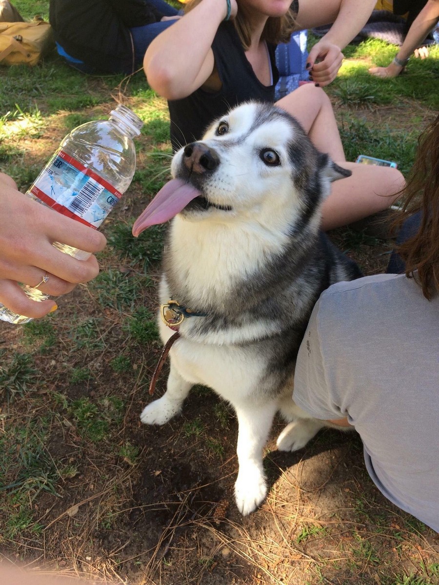 Daily Pictures. Part 1 (76 pics)