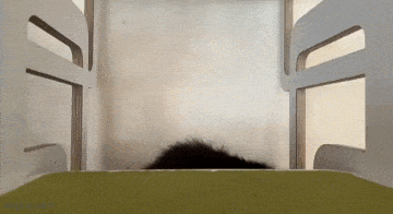 Acid GIFs, May 11 (25 gifs) Acid GIFs, May 11 (25 gifs)