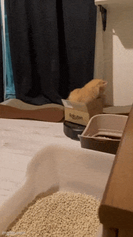Acid GIFs, May 11 (25 gifs) Acid GIFs, May 11 (25 gifs)