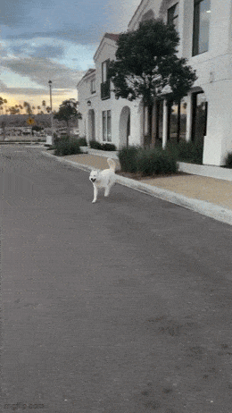 Acid GIFs, May 11 (25 gifs) Acid GIFs, May 11 (25 gifs)