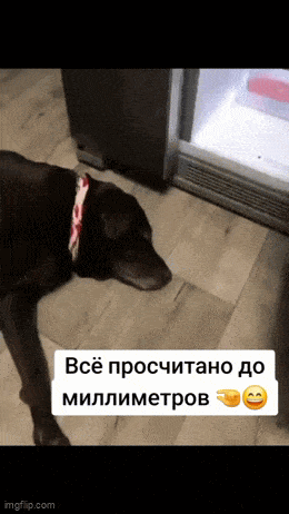 Acid GIFs, May 11 (25 gifs) Acid GIFs, May 11 (25 gifs)