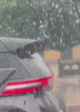 Acid GIFs, May 11 (25 gifs) Acid GIFs, May 11 (25 gifs)